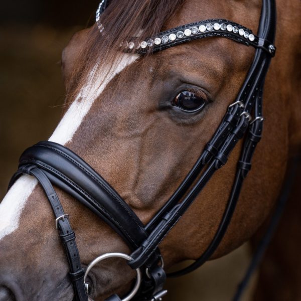 DSC_7888 kopiëren-2